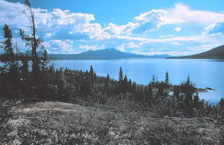 Walker Lake (Northwest Arctic, Alaska) httpsuploadwikimediaorgwikipediacommonsff