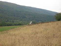 Walker Township, Juniata County, Pennsylvania httpsuploadwikimediaorgwikipediacommonsthu