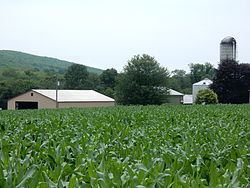 Walker Township, Schuylkill County, Pennsylvania httpsuploadwikimediaorgwikipediacommonsthu