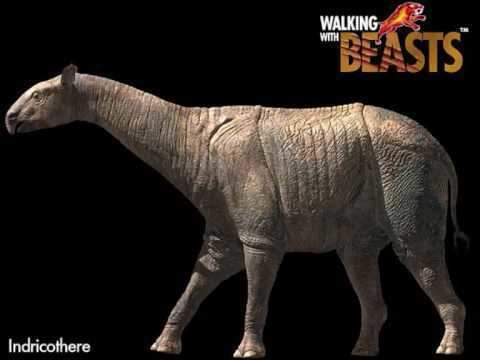 Walking with Beasts Walking with Beasts Tribute YouTube