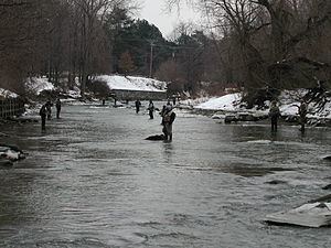 Walnut Creek (Lake Erie) httpsuploadwikimediaorgwikipediacommonsthu