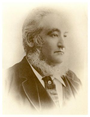 Walter Adams (Australian politician)