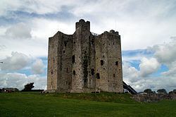 Walter de Lacy, Lord of Meath Walter de Lacy Lord of Meath Wikipedia