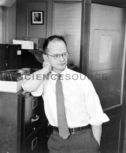 Walter Pitts Walter Pitts Stock Photo SB3929 Science Source Images