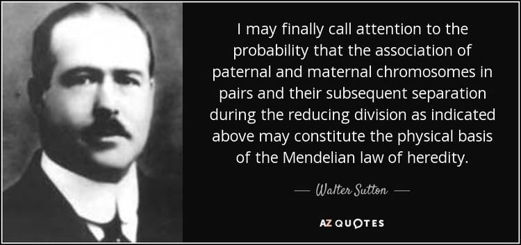 Walter Sutton QUOTES BY WALTER SUTTON AZ Quotes