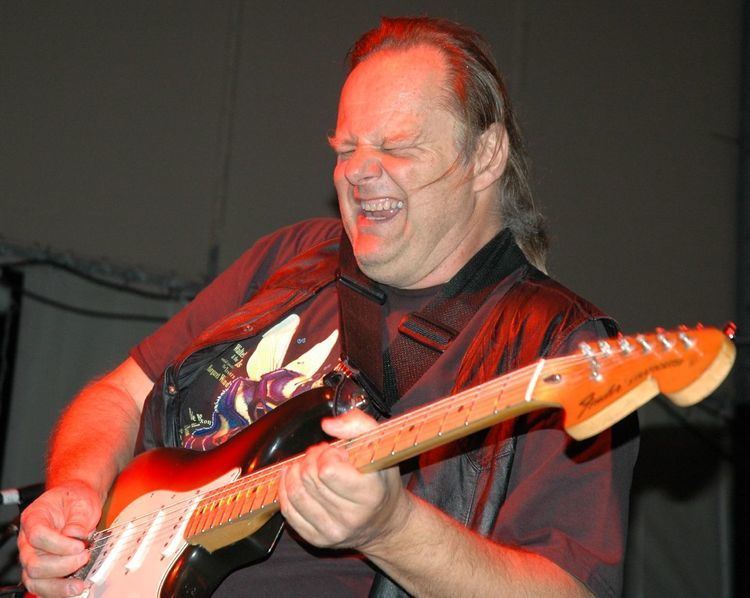 Walter Trout Walter Trout Wikipedia the free encyclopedia