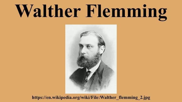 Walther Flemming Walther Flemming YouTube