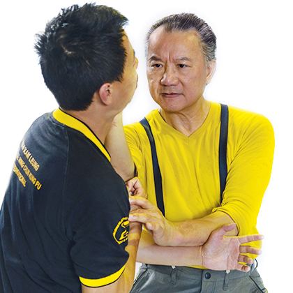 Wan Kam Leung Grandmaster Wan Kam Leung Practical Wing Chun Pioneer Interview