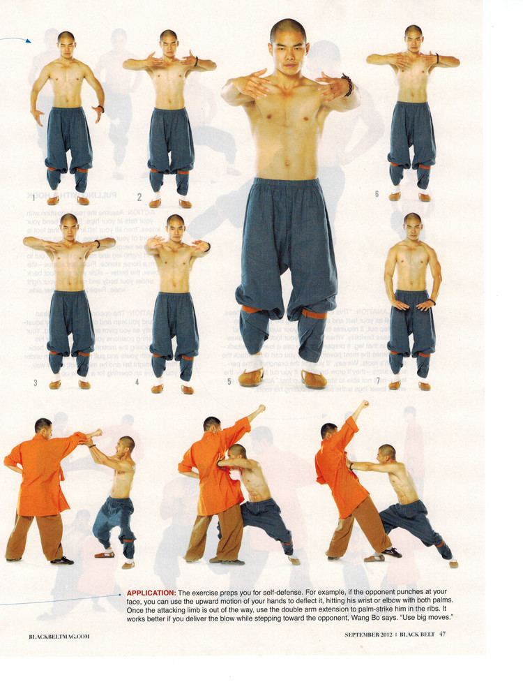 Wang Bo (martial artist) Shaolin Martial Arts Monk Wang Bo on Cover of Black Belt