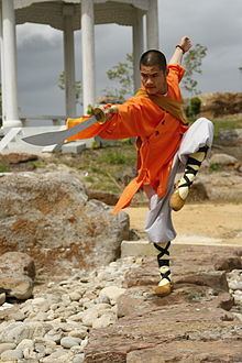 Wang Bo (martial artist) Wang Bo martial artist Wikipedia the free encyclopedia