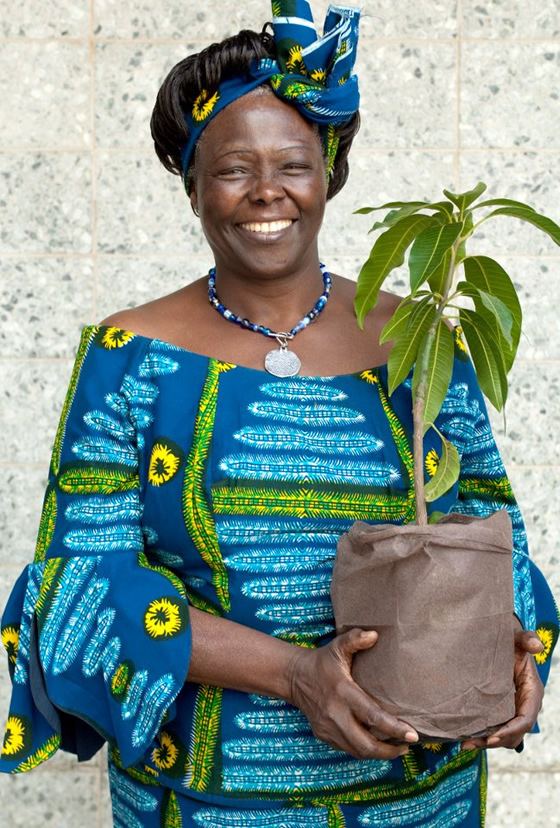 Wangari Maathai WANGARI MUTA MAATHAI AND SACRED MOUNT KENYA by Carol P