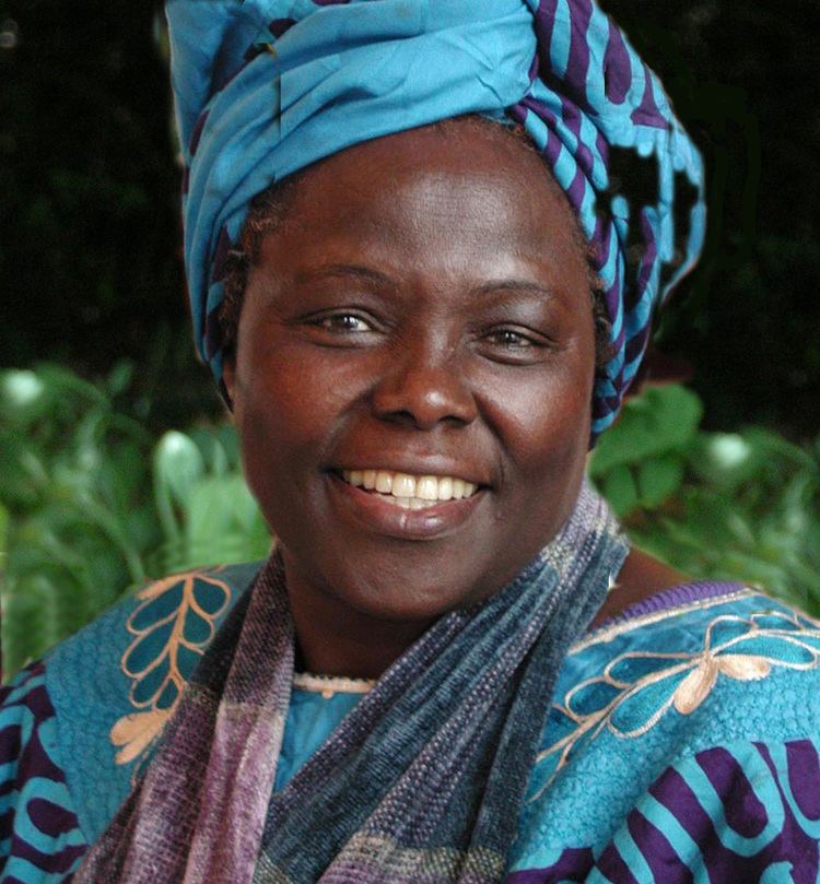 Wangari Maathai Nobel Peace Prize Winner Dr Wangari Maathai on The