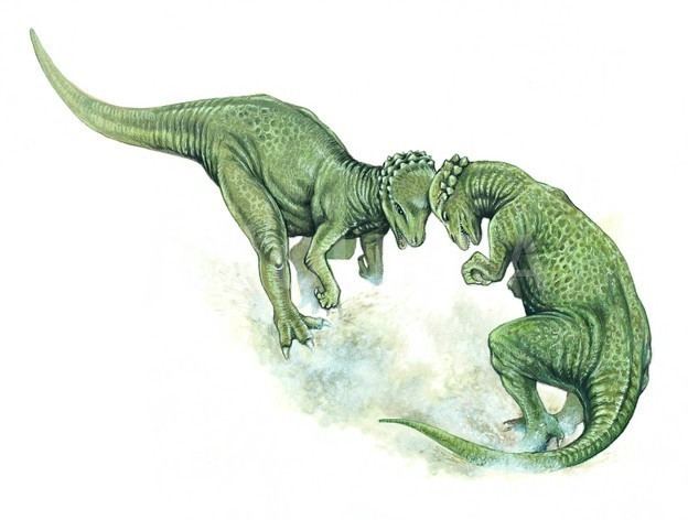 Wannanosaurus imagesdinosaurpicturesorgwannanosaurusfighting
