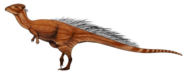 Wannanosaurus Wannanosaurus Wikipedia
