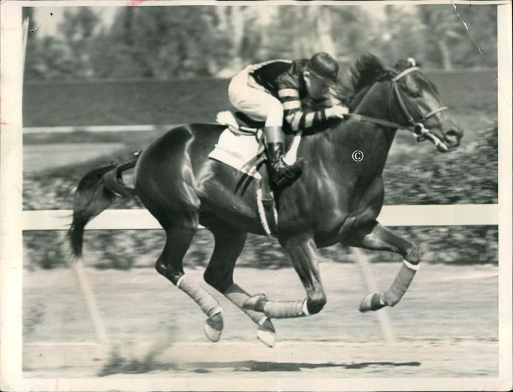 War Admiral WAR ADMIRAL THE LITTLE HORSE WHO COULD AND DID for John