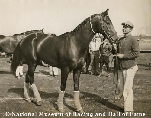 War Admiral 1000 images about War Admiral on Pinterest Retirement Croup and