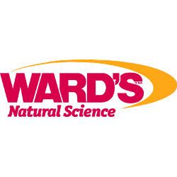 Ward's Natural Science httpslh4googleusercontentcomAlr72OJYP2cAAA