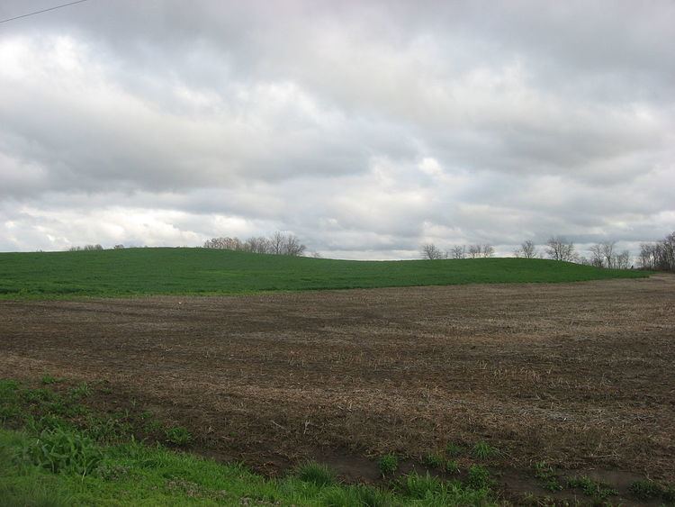 Ware Mounds and Village Site