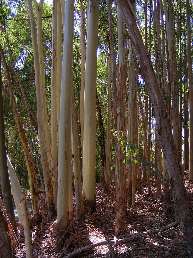 Warrawong Sanctuary