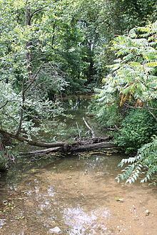 Warrior Run (West Branch Susquehanna River) httpsuploadwikimediaorgwikipediacommonsthu