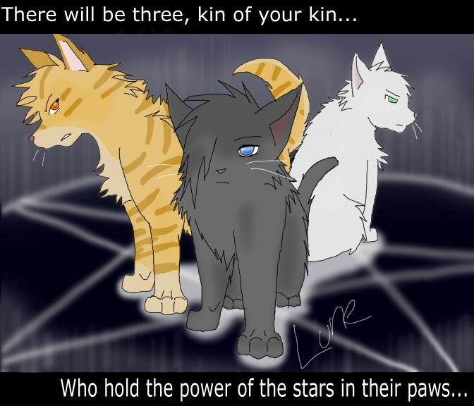 Warriors: Power of Three 1000 images about Power Of Three on Pinterest Orange cats