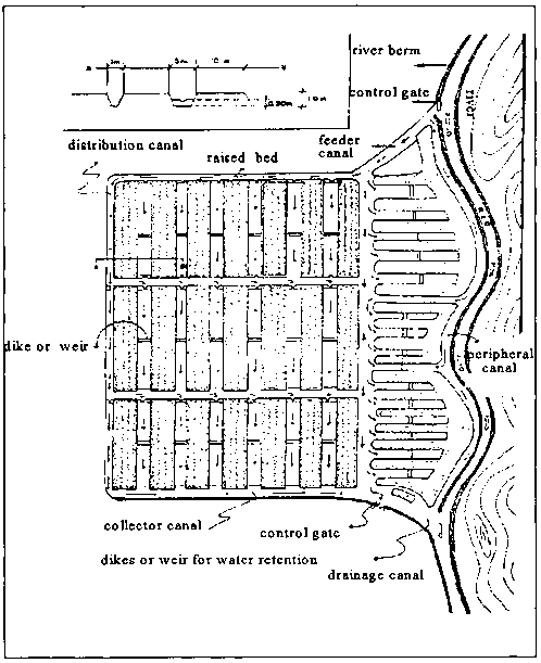 The floor plan of the agricultural technique Waru-Waru
