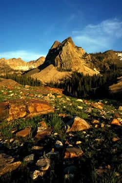 Wasatch National Forest
