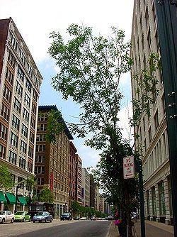 Washington Avenue Historic District (St. Louis, Missouri) httpsuploadwikimediaorgwikipediacommonsthu