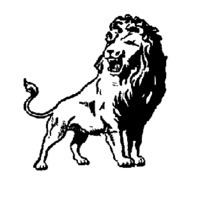 Washington Lions httpsuploadwikimediaorgwikipediaenthumb9