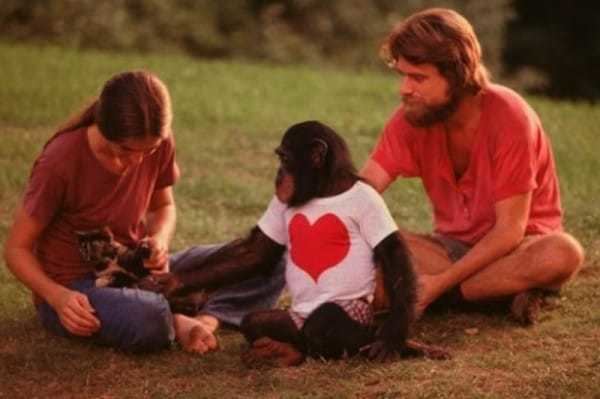 Washoe (chimpanzee) She Reveals Her Baby Died Now Watch What The Chimp Does Im In TEARS