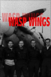Wasp Wings movie poster