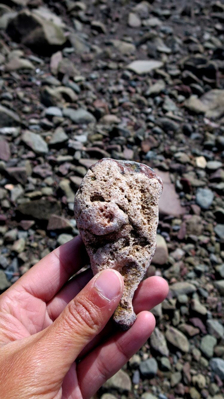 Wasson Bluff Wasson Bluffs and the Fundy Geological Museum Another Walk in the Park