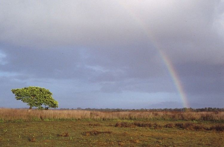 Wasur National Park