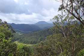 Watagan Mountains httpsuploadwikimediaorgwikipediacommonsthu