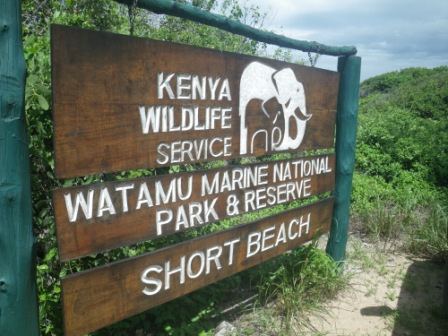 Watamu Marine National Park Watamu Marine National Park nymphette