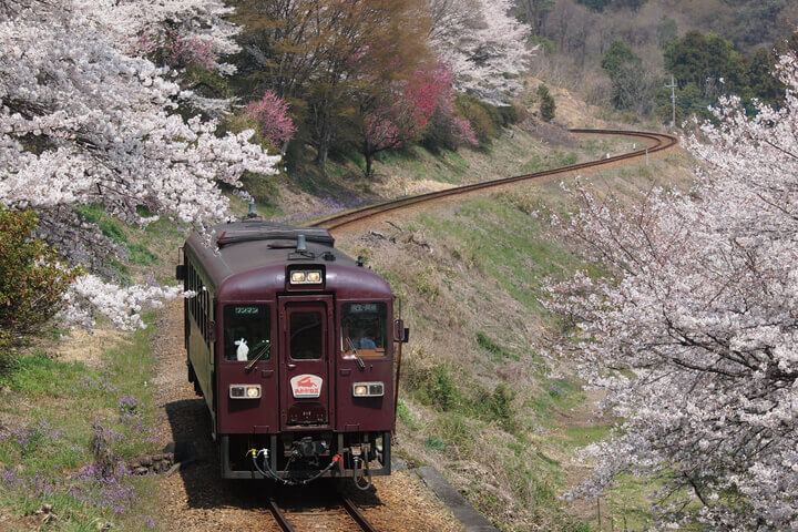 Watarase Keikoku Line httpswwwvisitgunmajpcmssightseeingimagedi