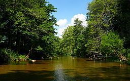 Watauga River httpsuploadwikimediaorgwikipediacommonsthu
