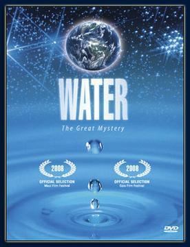 Water (2006 film) movie poster