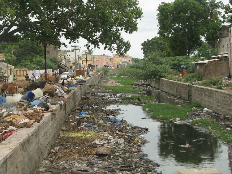 Water pollution in India