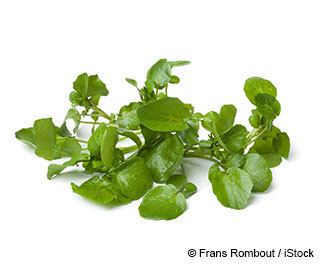 Watercress What Is Watercress Good For Mercolacom