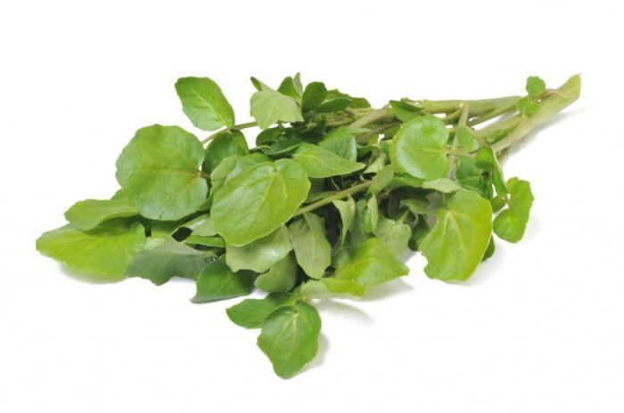 Watercress Watercress Health Benefits and Nutritional Breakdown Medical News