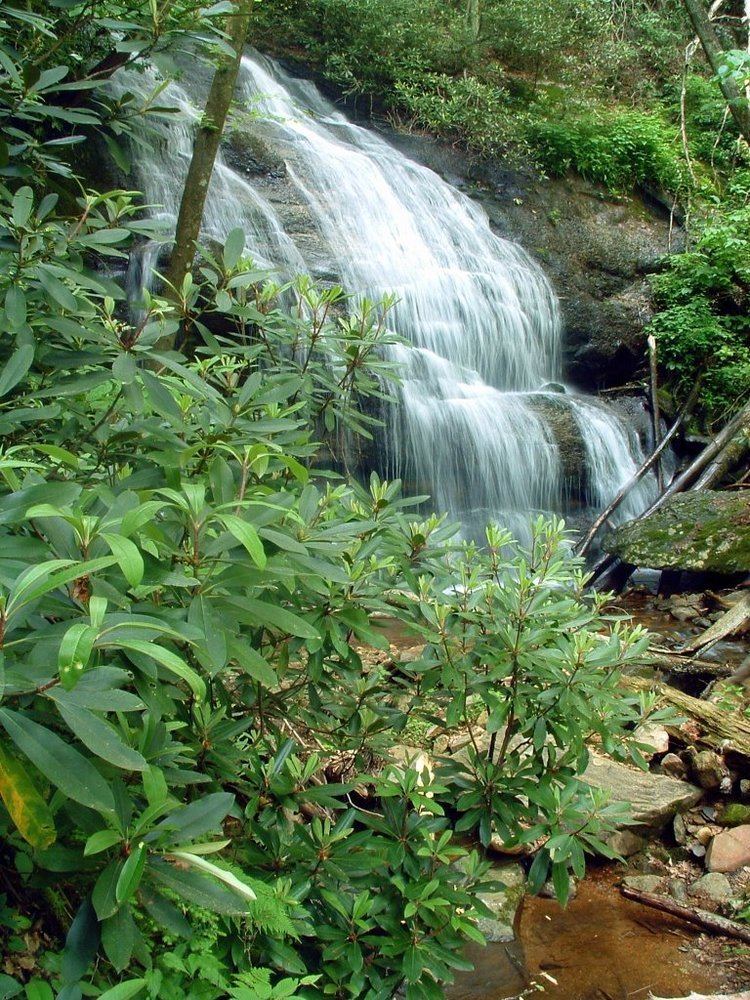 Waterfall on West Prong Hickey Fork httpsuploadwikimediaorgwikipediacommonsaa