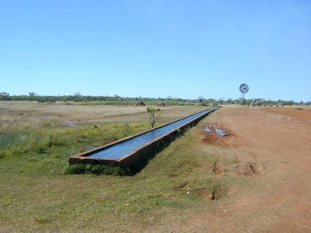 Watering trough