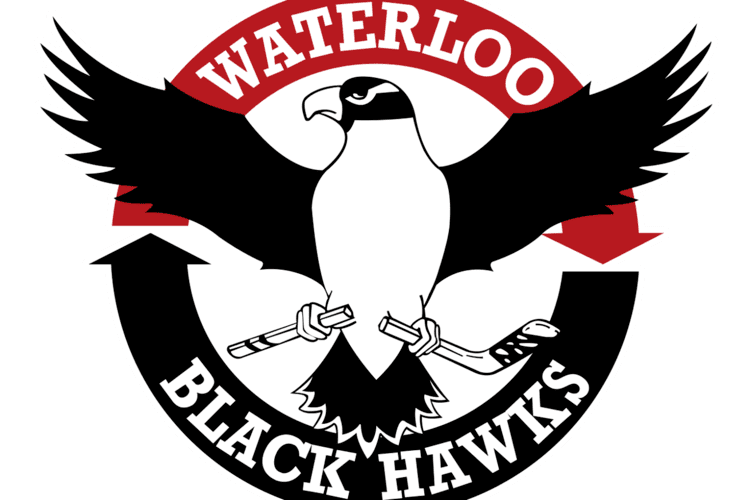 Waterloo Black Hawks httpscdn0voxcdncomthumborKhGhT3qcyFH8t4M3