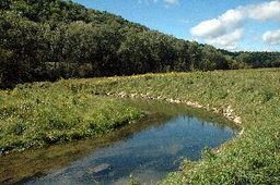 Waterloo Creek (Upper Iowa River) httpsuploadwikimediaorgwikipediacommonsthu