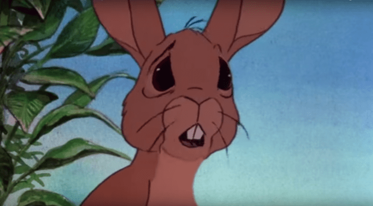 Watership Down (miniseries) New Watership Down TV Series Coming To Netflix In 2017 To Terrify