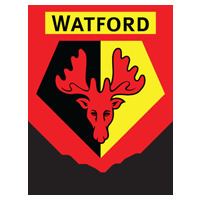Watford L.F.C. httpsresourcesthefacomimagesftimagesdatai