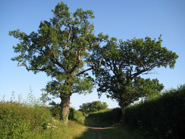 Watling Chase Community Forest