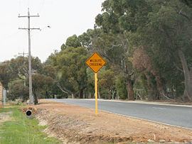 Wattle Grove, Western Australia httpsuploadwikimediaorgwikipediacommonsthu