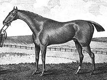 Waxy (horse) httpsuploadwikimediaorgwikipediacommonsthu